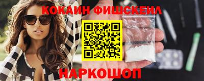 крисы Можга