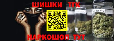крисы Можга