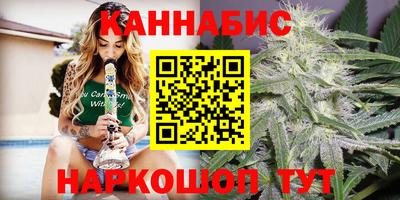 крисы Можга