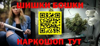 крисы Можга