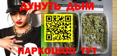 крисы Можга