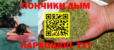 крисы Можга