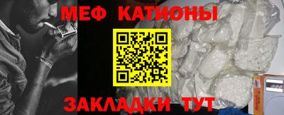 крисы Можга
