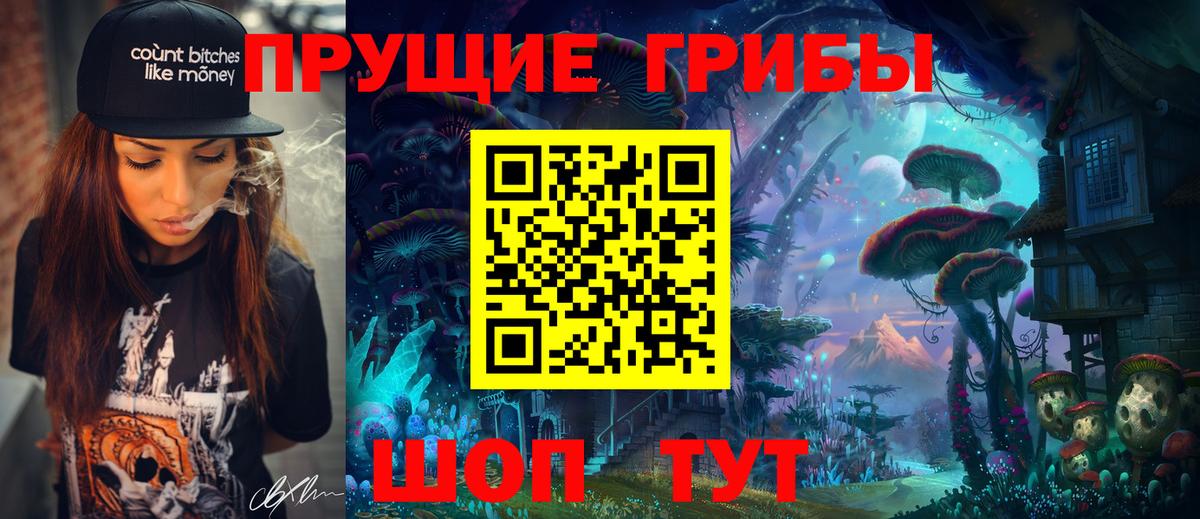 Псилоцибиновые грибы GOLDEN TEACHER  Вход с VPN  Верхняя Пышма  Галлюциногенные грибы ЛСД 