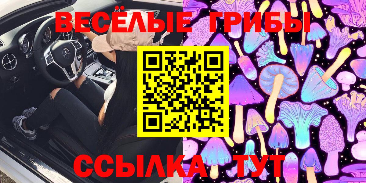 Галлюциногенные грибы Psilocybe Верхняя Пышма